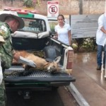 Foto da Policia Militar do Meio Ambiente