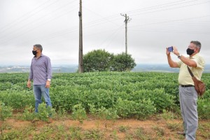 videomonitoramento rural